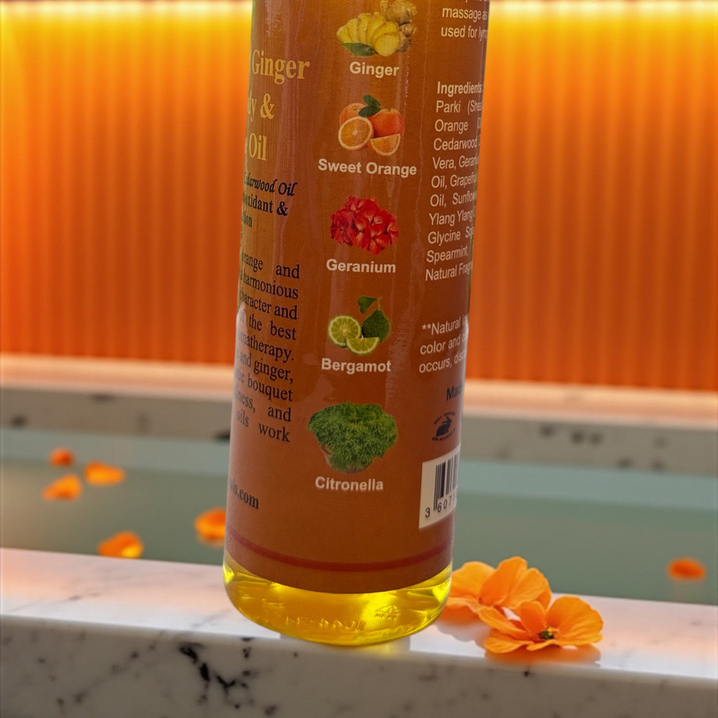 Orange & Ginger Massage Oil – 8 oz | Anti-Wrinkle, Antioxidant & Skin Hydration